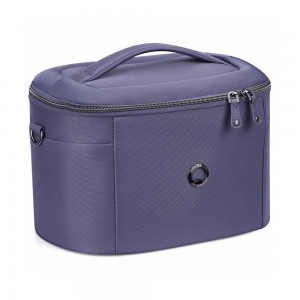 Vanity case DELSEY...