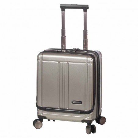 Valise cabine avec compartiment PC gris argent | Bagage business petit format polycarbonate